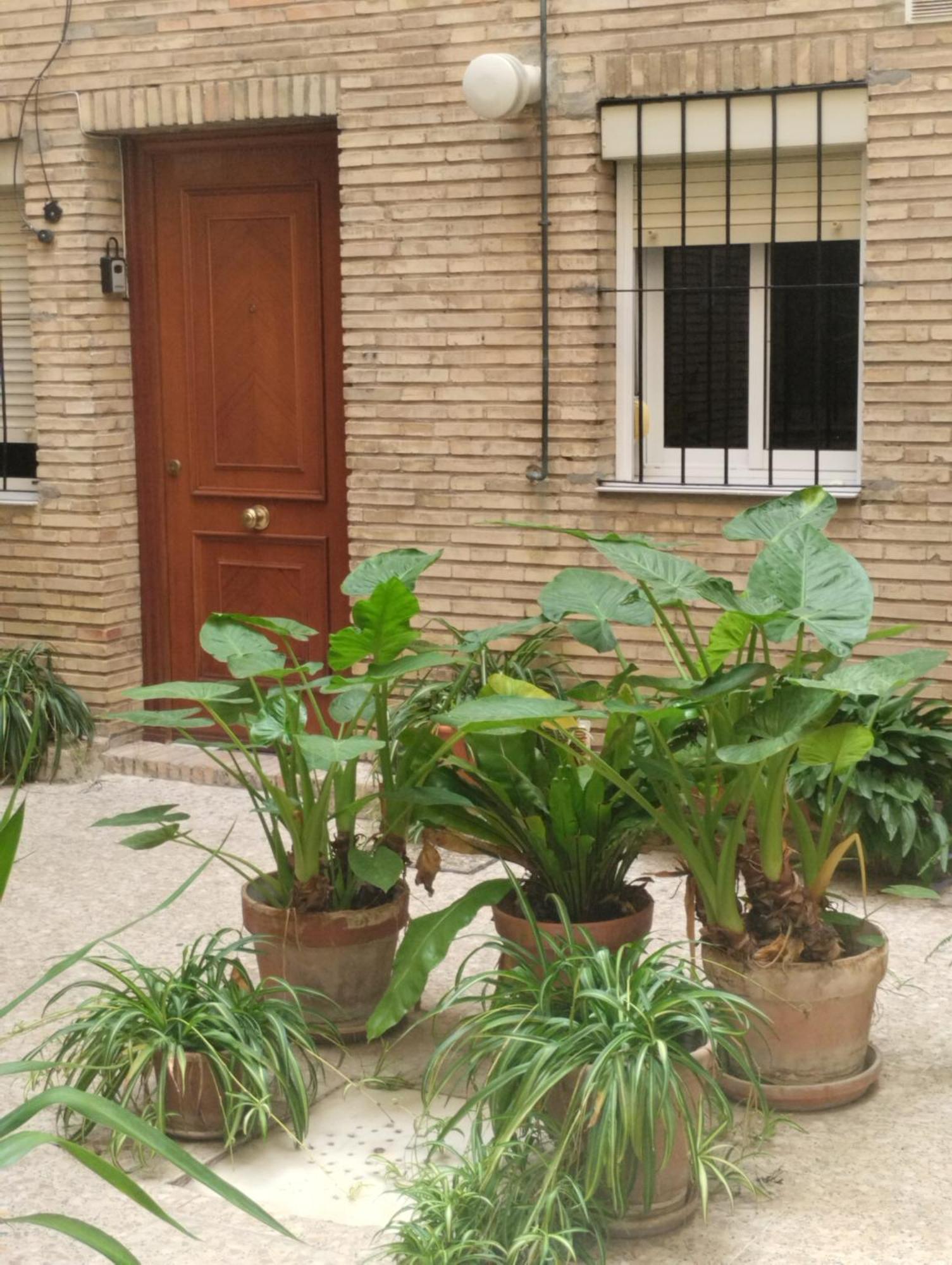 La Casa De Pepa Sevilha Exterior foto